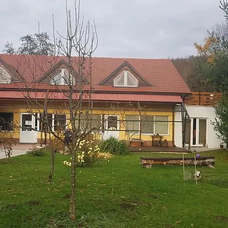 Center Apartman *