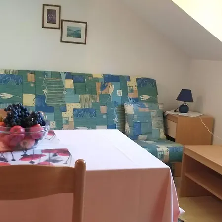 Center Rogaška Slatina