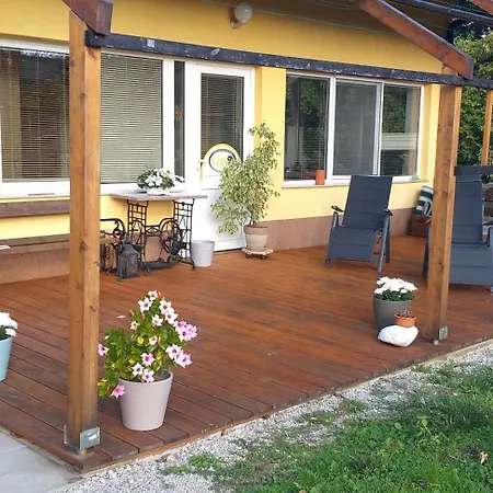 Center Apartmán Rogaška Slatina