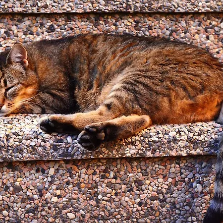 Center Rogaska Slatina