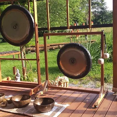 Daire Center Rogaška Slatina