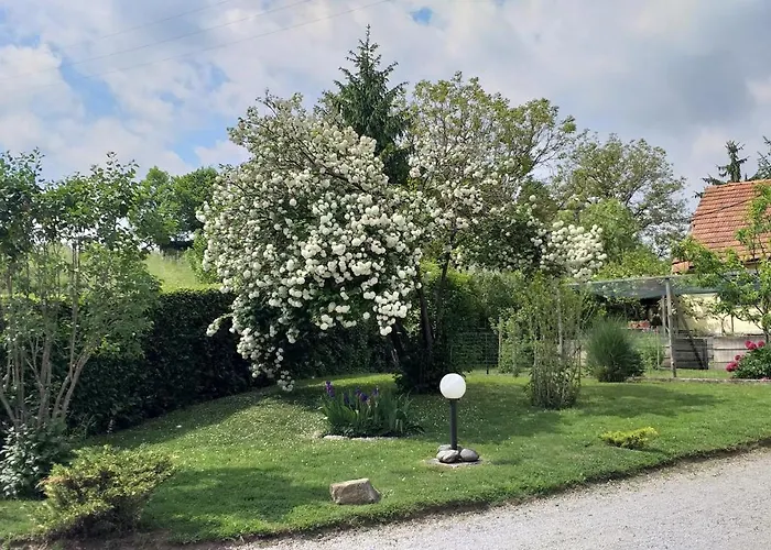 Center 로가스카슬라티나