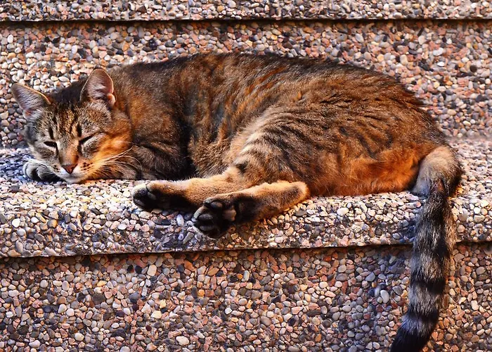 Center روغاسكا سْلاتِنا